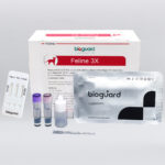 Test rapid Feline 3X – Detectare FeLV, FIV și FCoV la pisici